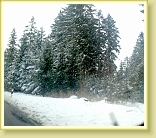 20150402 sch Am Langen Berg nach Schwarzburg zur Oster LDP,1850h